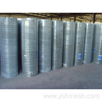 galvanized square wire mesh